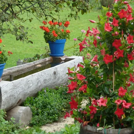 Le Jardin Fleuri *