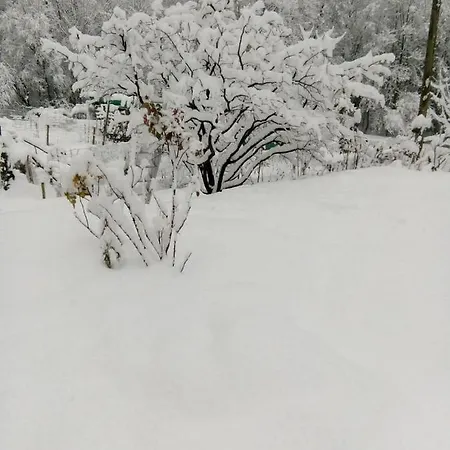 בית אירוח Le Jardin Fleuri