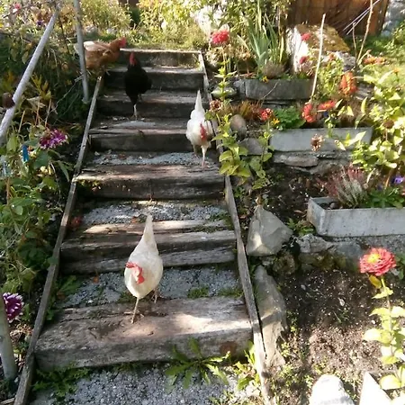 Le Jardin Fleuri Ollon