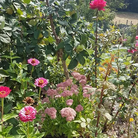 Alloggio in famiglia Le Jardin Fleuri *
