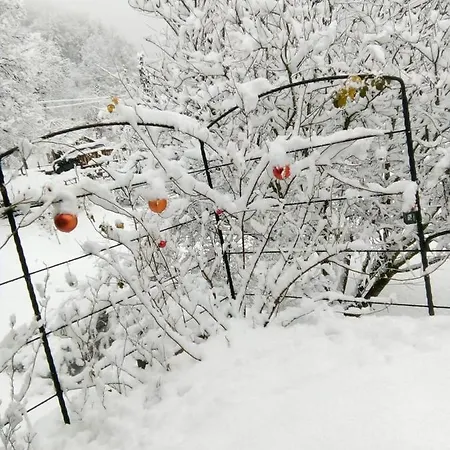 Le Jardin Fleuri *
